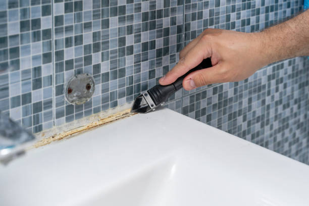Best Residential Mold Remediation in Monticello, IN